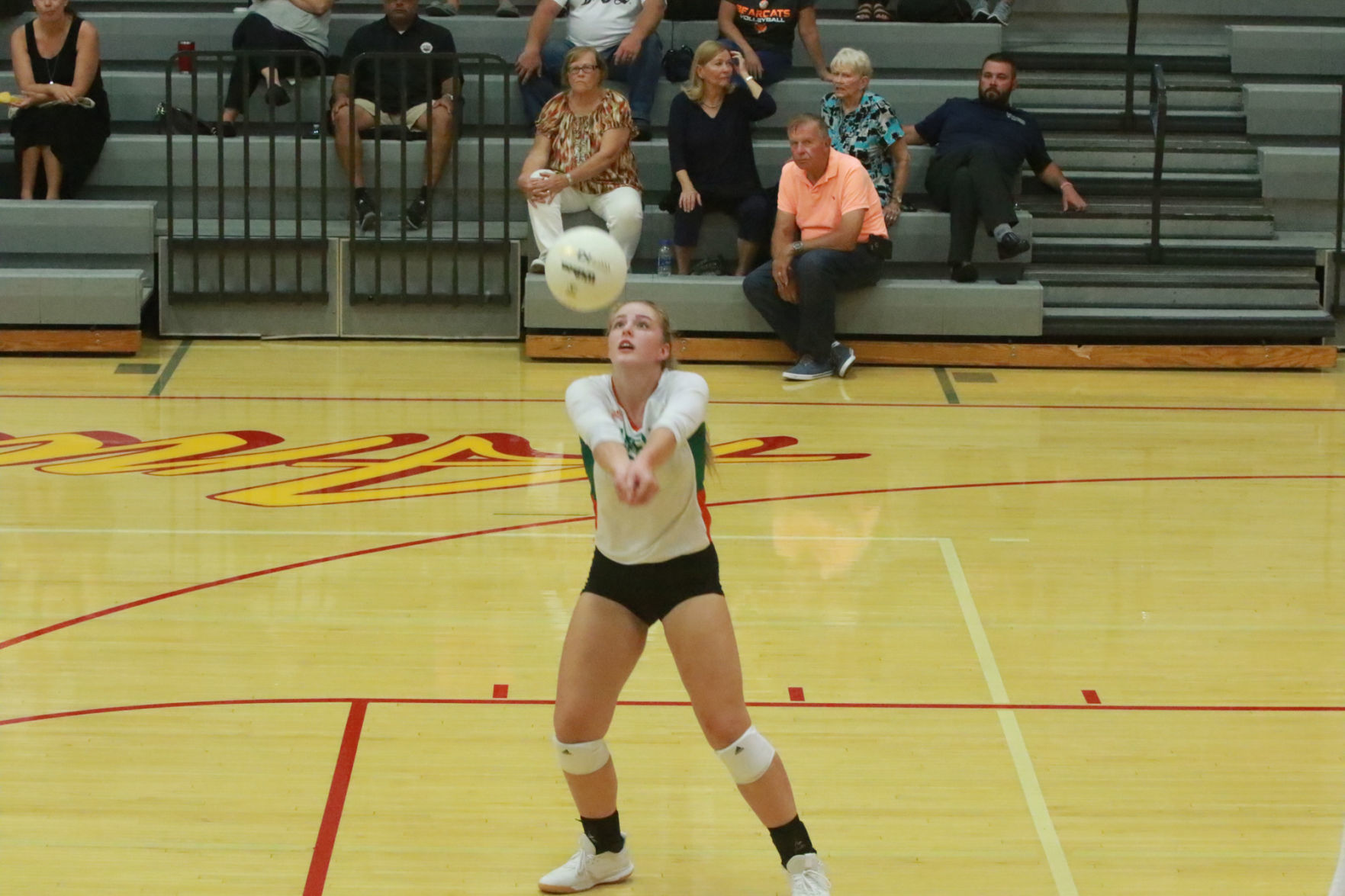 Gallery: Girls volleyball - Wheeler at Andrean